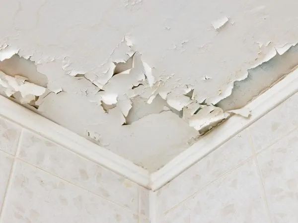 How To Fix Peeling Paint On A Ceiling In 4 Steps Tribble