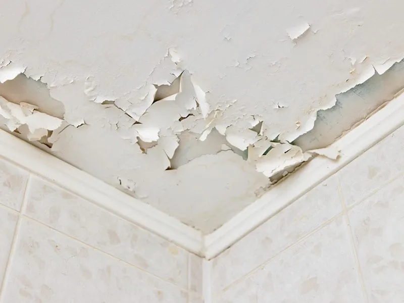 How to Fix Peeling Paint on a Ceiling A StepbyStep Guide